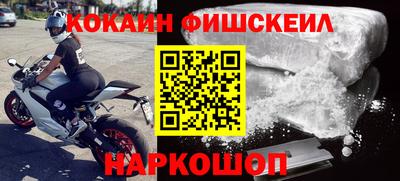 крисы Славгород