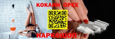 крисы Славгород