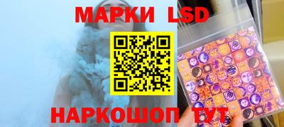 крисы Славгород