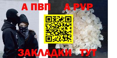крисы Славгород