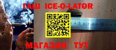 крисы Славгород