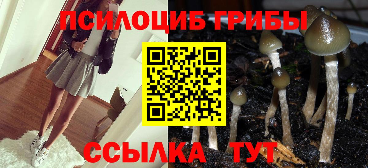 Псилоцибиновые грибы Magic Shrooms Сафоново
